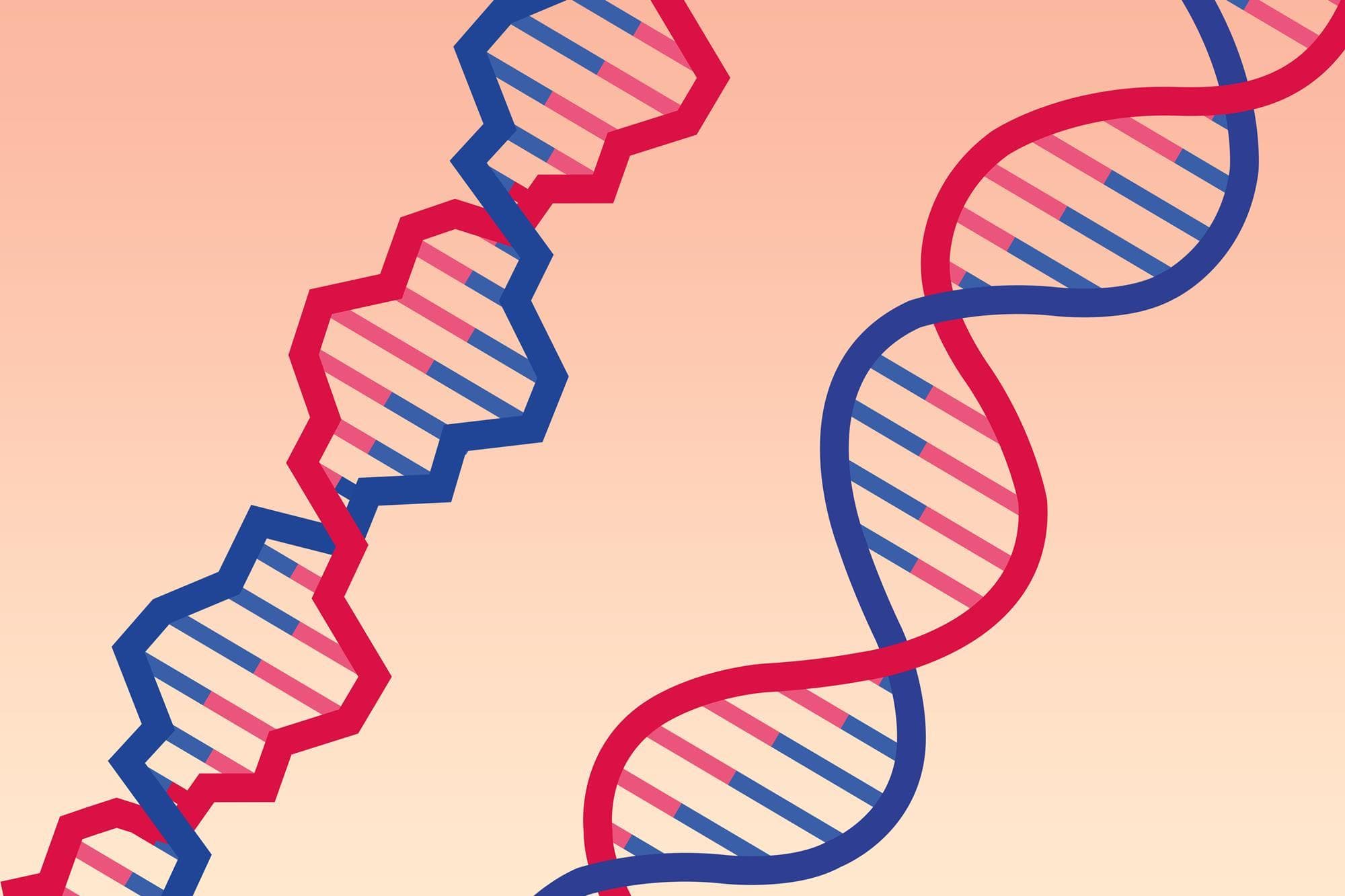 🧬 Genomic Sequence Tokeniser